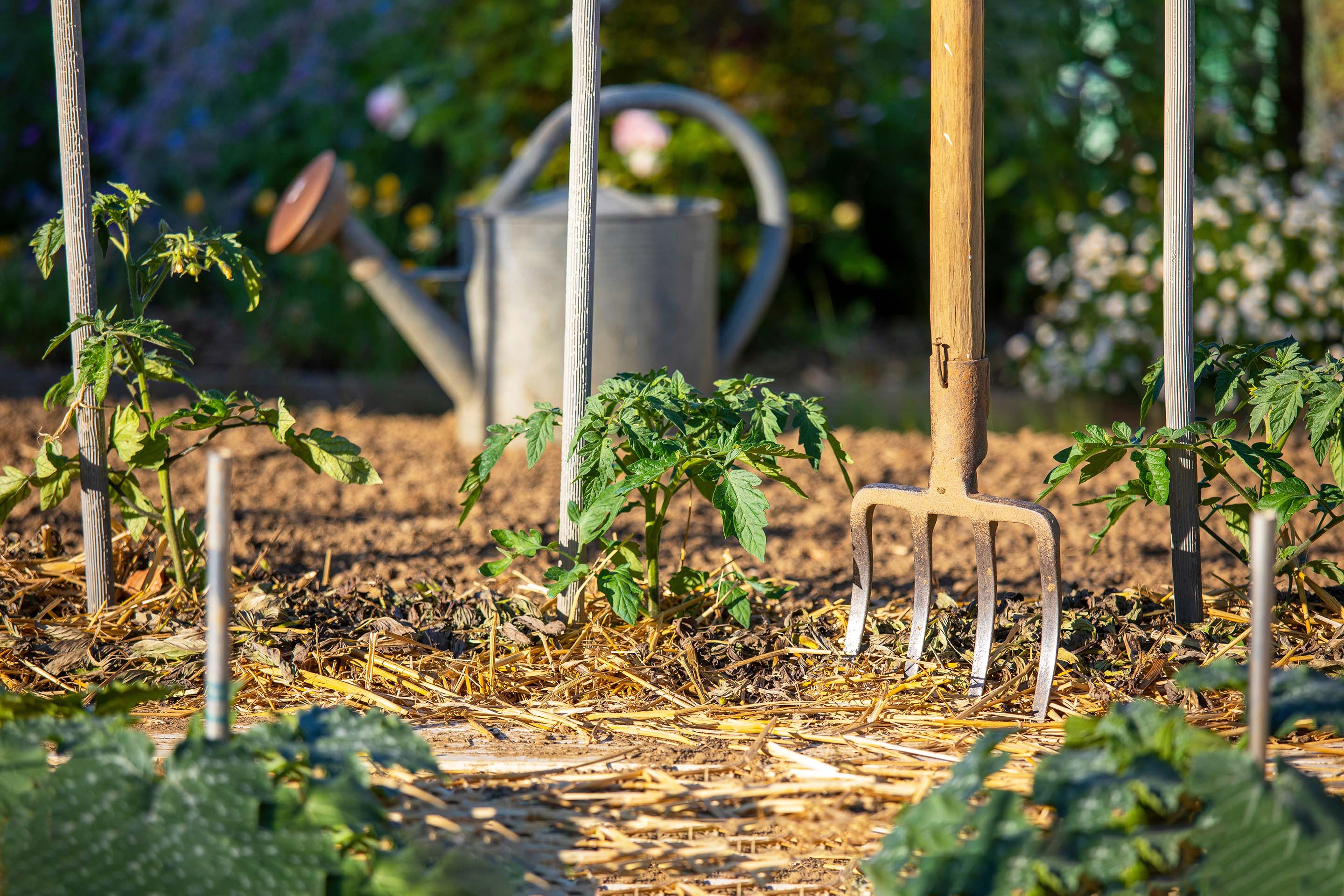 Organic Liquid Fertilizer Blends Optimize Organics Inc