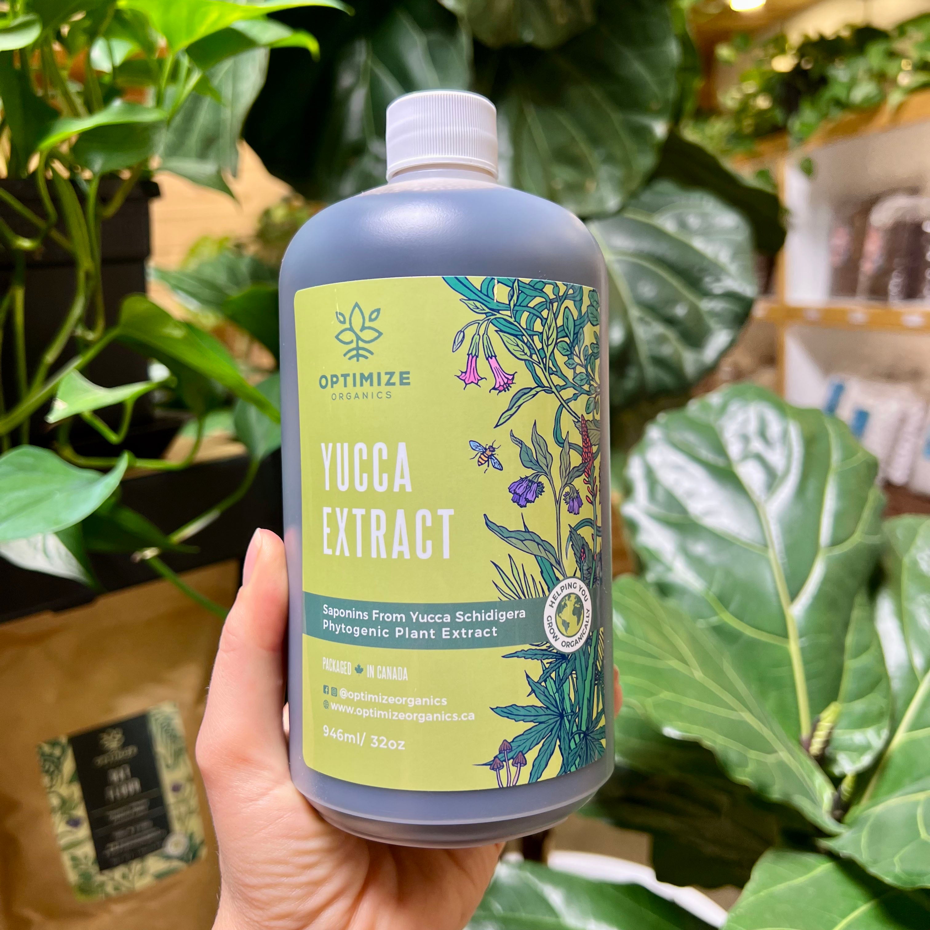 Yucca Schidigera Liquid Extract Protection From Environmental Stress