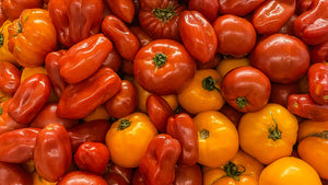 Organic Dry Fertilizer Blends