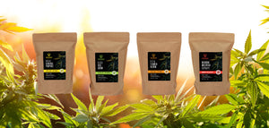4 Plant Cannabis Grow System Combo Pack