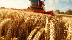 Bulk Fertilizers & Amendments