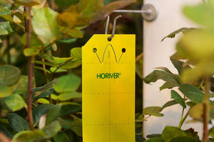 Pest Control Traps & Monitoring