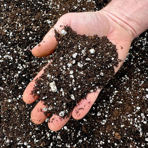 Hand full of Living Organic Cannabis Soil. 