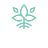 Optimize Organics Inc