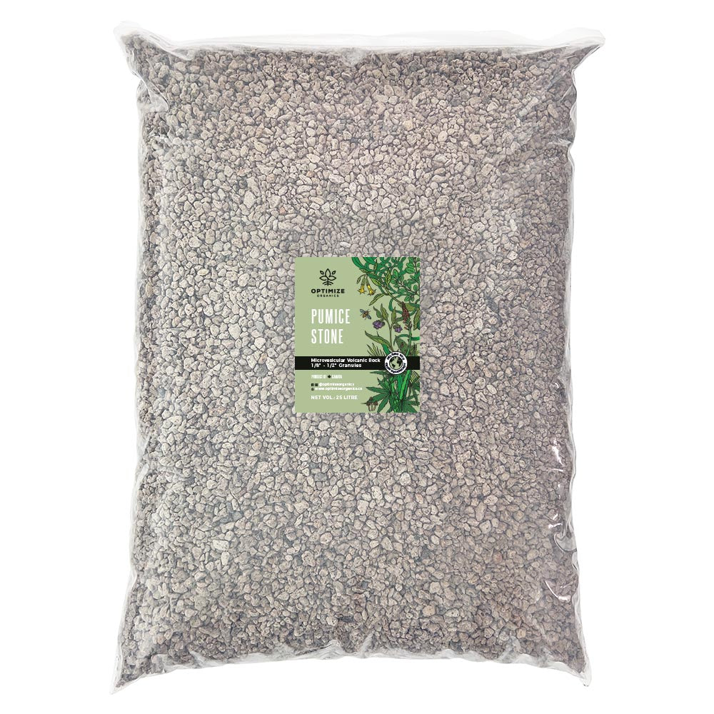 pumice stone for succulents Pumice Stone (3–12mm)