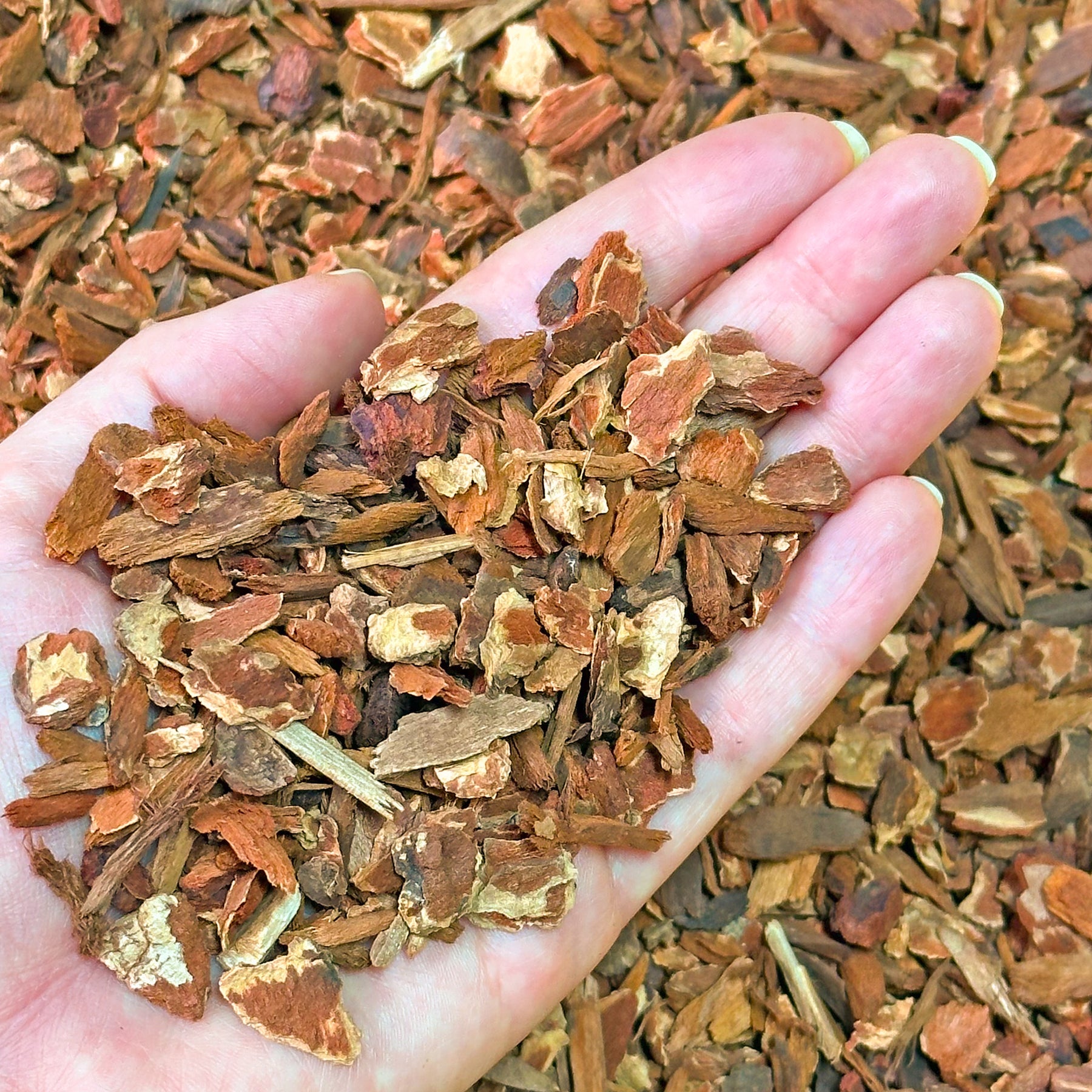 fir bark potting mix Small Douglas Fir Bark