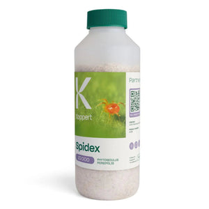 10,000-count SPIDEX RED bottle with predatory mites for fast spider mite control (Phytoseiulus persimilis)