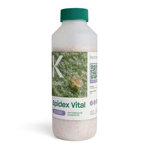 SPIDEX VITAL 10,000-count bottle with Phytoseiulus persimilis in sawdust carrier from Optimize Organics for spider mite control.
