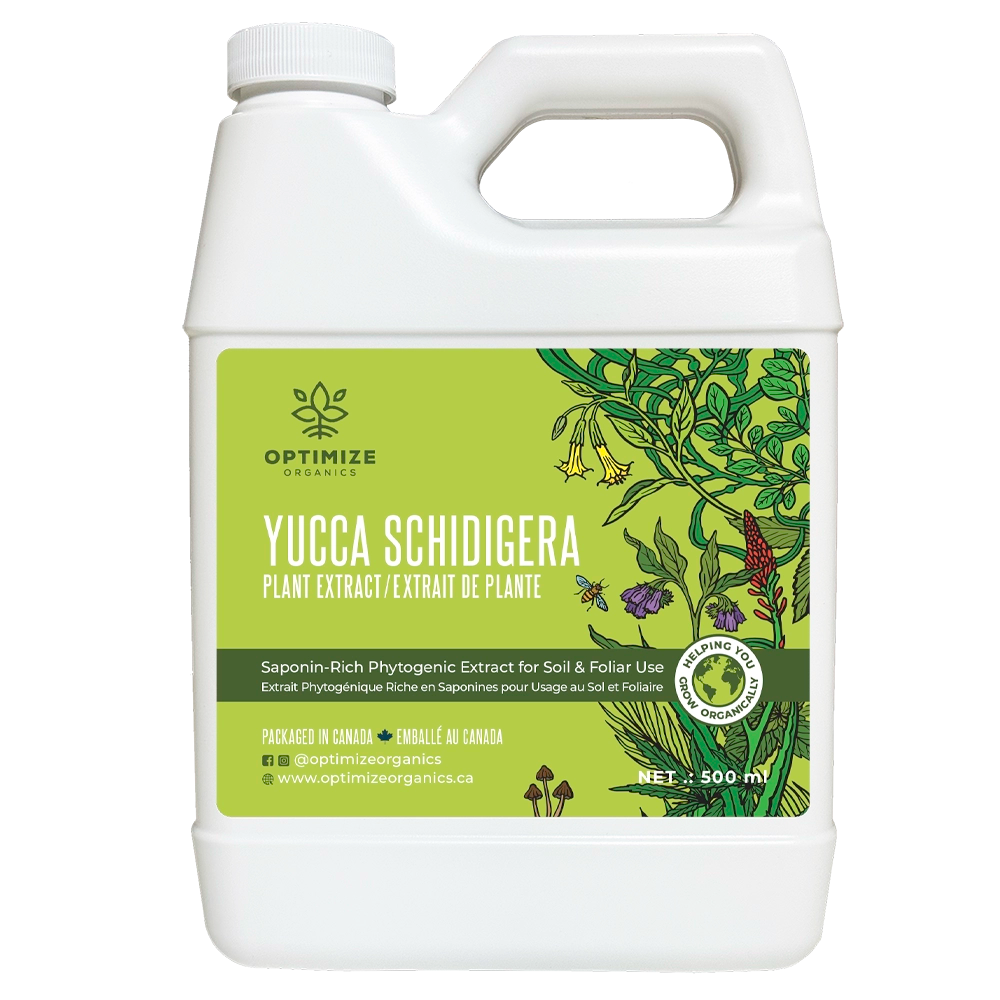 Yucca Extract